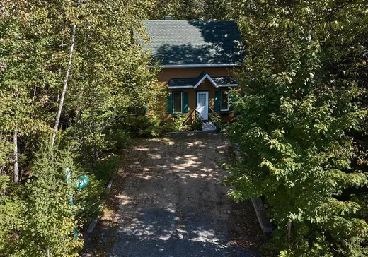 Maison à vendre - 734 Ch. du Lac-Sylvère, St-Donat-De-Montcalm, J0T 2C0