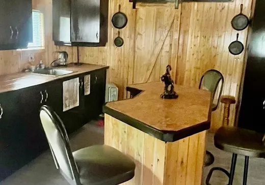 Maison à vendre - 30 Rue du Lac-Raymond, Saint-Flavien, G0S 2M0