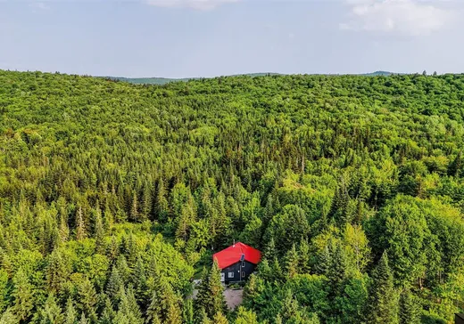 Un étage et demi à vendre - 545 Rg Gosford, Saint-Raymond, G3L1P2