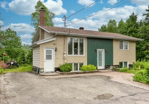 Maison à étages à vendre - 50 Rue St-Alexis, St-Alexis-Des-Monts, J0K1V0