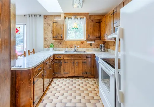 Maison à vendre - 21 Rue Gaétan, Victoriaville, G6P 7Y2