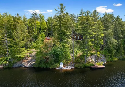 House for sale - 10 Chemin Gerta, Otter Lake, J0X 2P0