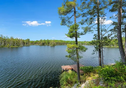 House for sale - 10 Chemin Gerta, Otter Lake, J0X 2P0