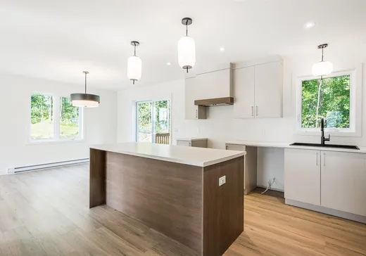 Maison à vendre - 156 Rue Gisèle-Trudeau, Sherbrooke, J1C 0G1