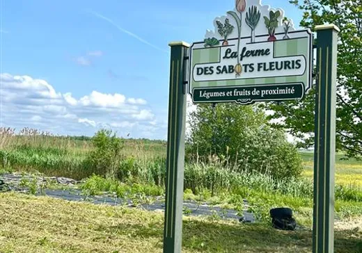 Maison à vendre - 361 Ch. de la Grosse-Île, Laurierville, G0S 1P0