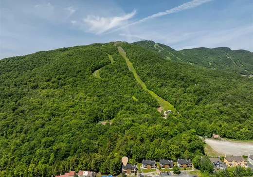 Condo à vendre - 4977 Ch. du Parc, Orford, J1X 7N9