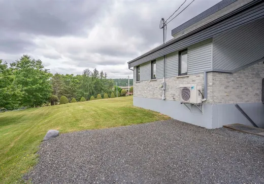 House for sale - 3010 1re Avenue, Notre-Dame-des-Pins, G0M 1K0