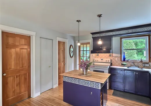 Maison à vendre - 88 Ch. George-Bonnallie, Eastman, J0E 1P0