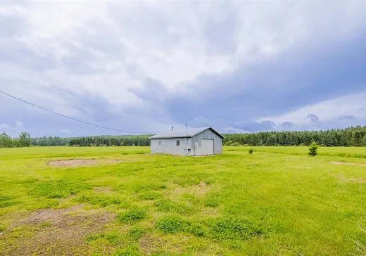 House for sale - 181 Route du Lac-Pierre-Paul, St-Adelphe-De-Champlain, G0X 2G0
