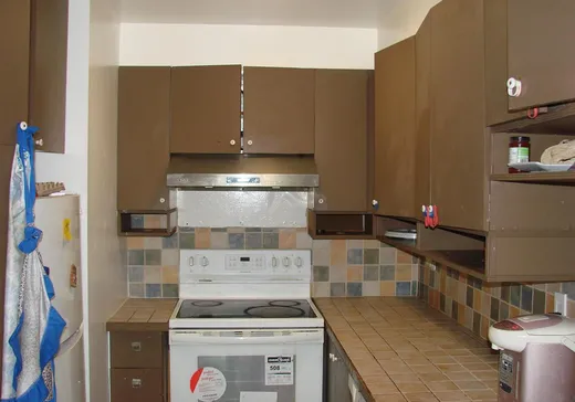 Condo for sale - 3655 Boul. des Trinitaires, App. 1, Montreal (Downtown), H4E 4L3