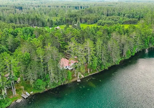 Maison à vendre - 251 Ch. Red Pine, Otter Lake, J0X 2P0