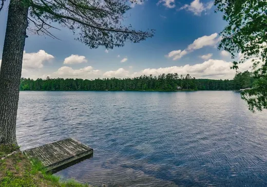 Maison à vendre - 251 Ch. Red Pine, Otter Lake, J0X 2P0