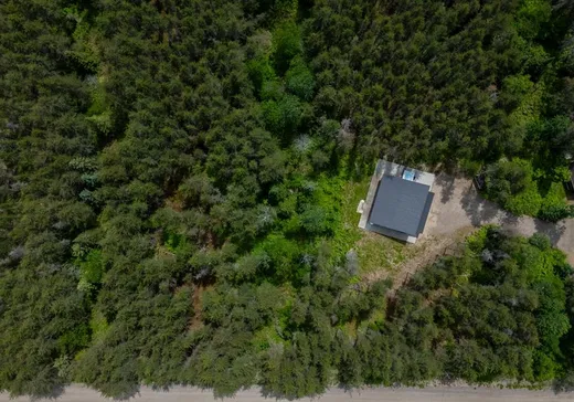 Maison à vendre - 271 Ch. des Bleuets, St-Alexis-Des-Monts, J0K 1V0