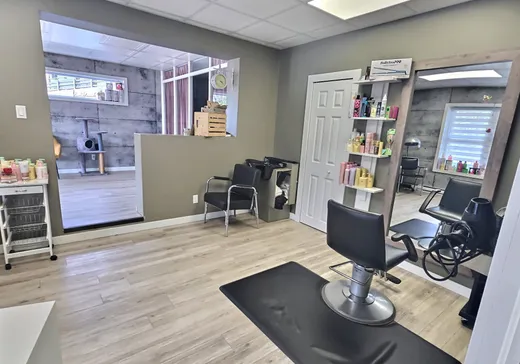 Maison à vendre - 65 Rue St-Jacques N., Causapscal, G0J 1J0