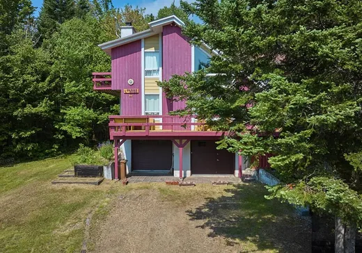 House for sale - 81 Ch. Tong-Il-Ro, St-Donat-De-Montcalm, J0T 2C0