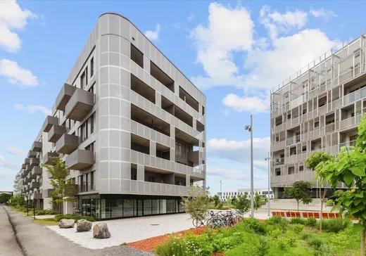 Condo à vendre - 4240 Rue Augustin-Frigon, App. 503, Montréal (Rosemont–La Petite-Patrie), H1Y0E4