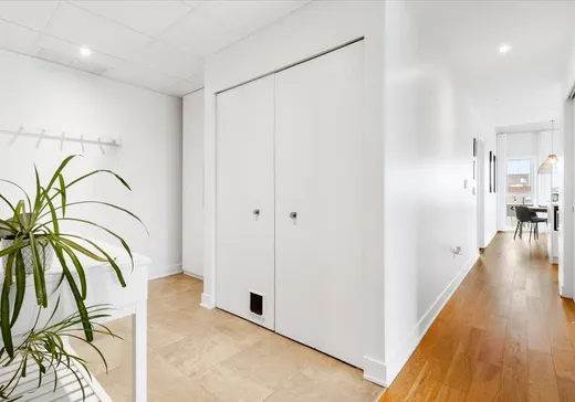 Condo à vendre - 4240 Rue Augustin-Frigon, App. 503, Montréal (Rosemont–La Petite-Patrie), H1Y 0E4
