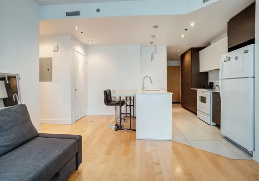 Condo à vendre - 185 Rue Laurier, App. 202, Hull, J8X 0B2