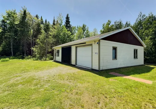 House for sale - 41 Ch. du Petit-Québec, Lac-Mégantic, J0B 1Y0