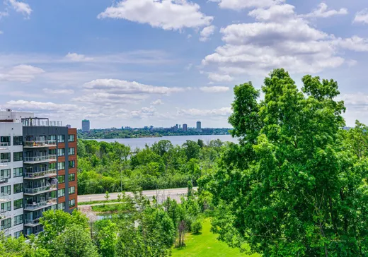 Condo à vendre - 129 Rue d'Augusta, Gatineau, J9H 0A4