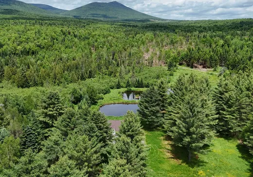 Two or more stories for sale - 138 Rue Principale O., Notre-Dame-Des-Boies, J0B2E0