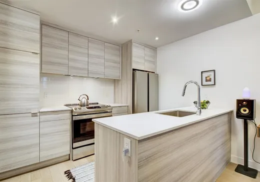 Condo for sale - 1400 Rue Ottawa, App. 118A, Montreal (Downtown), H3C 0Y9