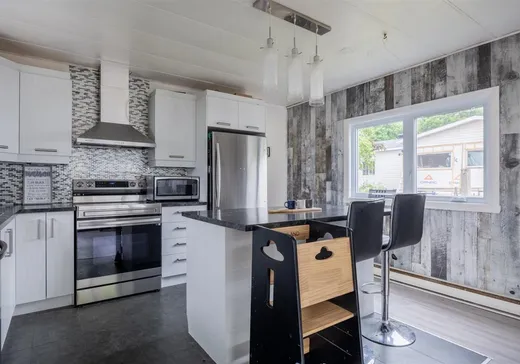 Loft à vendre - 259 Rue Germaine-Viger, Beauport, G1B 1L6