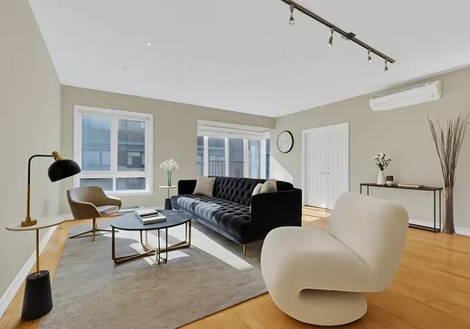 Condo à vendre - 320 Rue Sherbrooke O., App. 201, Montréal (Centreville), H2X 1X9