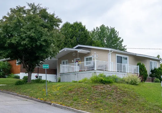 Maison à vendre - 217 Rue Belcourt, Mont-Laurier, J9L 3H8