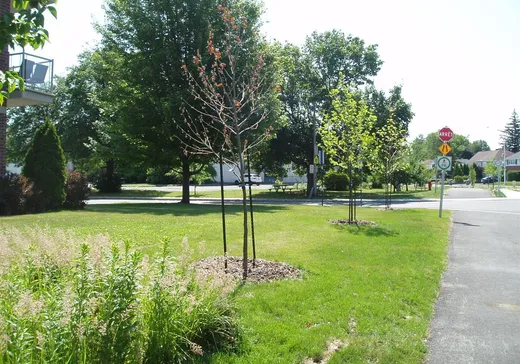 Condo for sale - 153 Av. Winthrop, App. 105, Pointe-Claire (Montreal Island), H9R 3W8