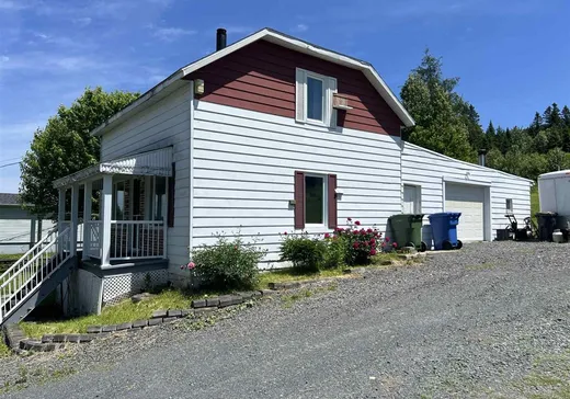 Maison à vendre - 125 10e Rang, Lac-Etchemin, G0R 1S0