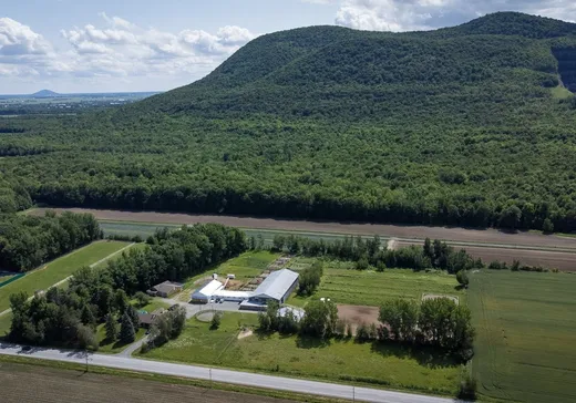 Hobby Farm for sale - 3605 Ch. Benoit, Sainte-Madeleine, J0H1S0