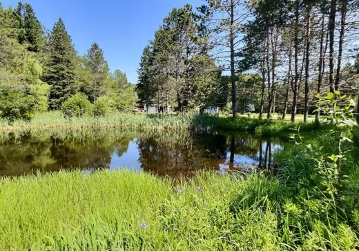 Maison à vendre - 1481 Mtée Kavanagh, Mont-Tremblant, J8E 2P3