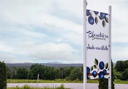 Hobby Farm for sale - 340 Rue de l'Église, Magog, J0E1H0