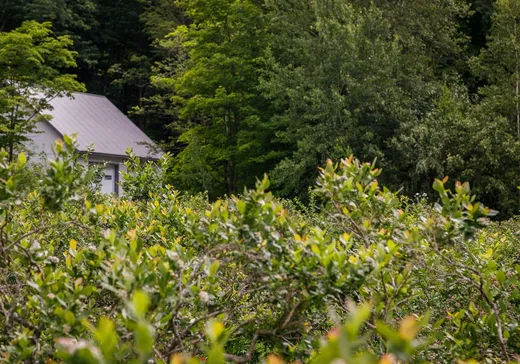 Hobby Farm for sale - 340 Rue de l'Église, Magog, J0E 1H0