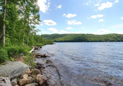 Maison à vendre - 220 Route 289, Saint-Marc-du-lac-long, G0L 1T0