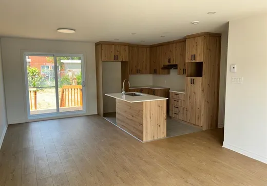 Maison à vendre -  Ch. du Lac-d'Argent, Chertsey, J0K 3K0