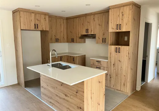 Maison à vendre -  Ch. du Lac-d'Argent, Chertsey, J0K 3K0