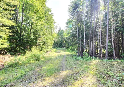 Maison à vendre - 2275 Ch. des Peupliers, Percé, G0L 2L2