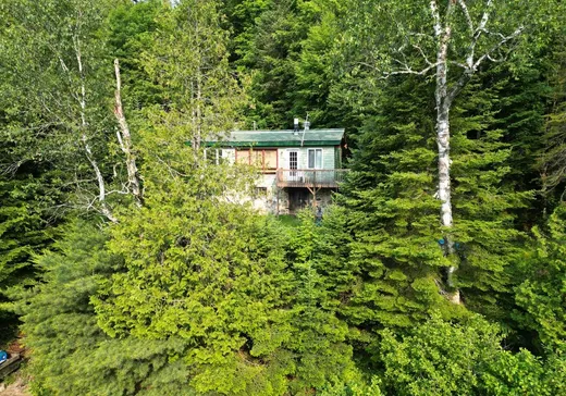 Maison à vendre - 10073 Rue Chadrofer, La Minerve, J0T 1S0