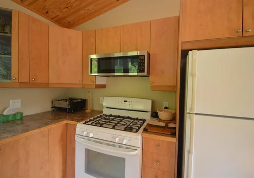 Maison à vendre - 10073 Rue Chadrofer, La Minerve, J0T 1S0