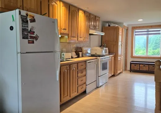 Maison à vendre - 70 Ch. Kempt, Sainte-Marguerite-Marie, G0J 2Y0