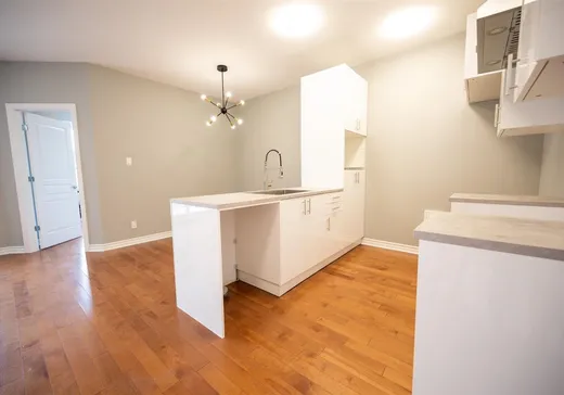Condo for sale - 6933 Boul. Pie-IX, App. 8, Montreal (East), H1X 2C7