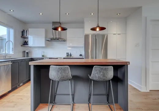 Maison à vendre - 55 Rue du Damier-Argenté, La Prairie, J5R 0P5