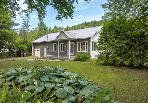 Maison à vendre - 46 Rue des Pins, Ste-Brigitte-De-Laval, G0A 3K0