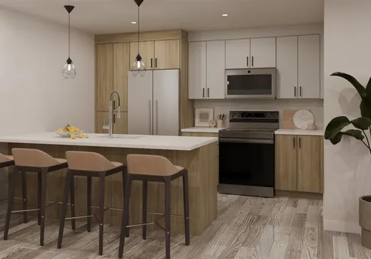 Condo à vendre - 173 Rue du Conseil, Sherbrooke, J1G 1J1