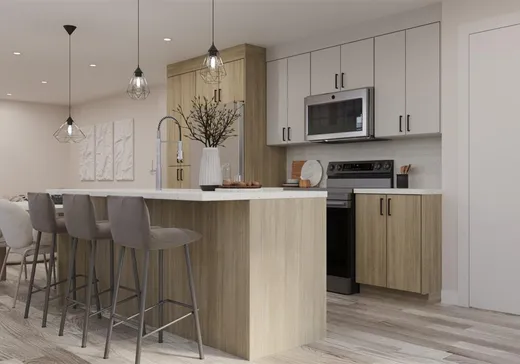 Condo à vendre - 179 Rue du Conseil, Sherbrooke, J1G 1J1