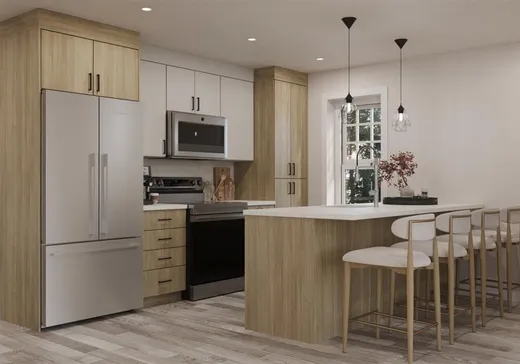 Condo à vendre - 175 Rue du Conseil, Sherbrooke, J1G 1J1