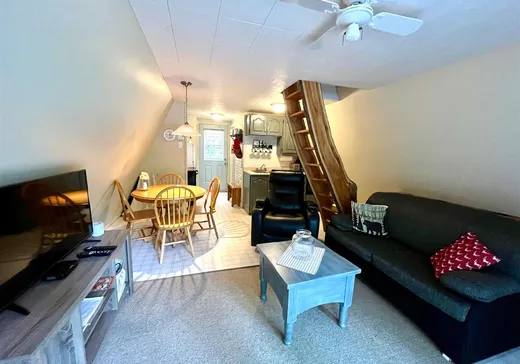 House for sale - 18 Rue Fréchette, Asbestos, J0A 1K0