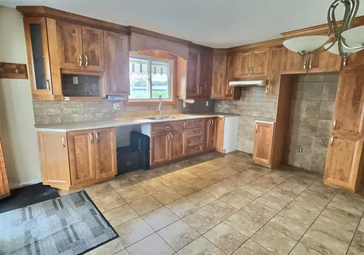 Maison à vendre - 75 Rue Beaudet, Victoriaville, G6P 6L7
